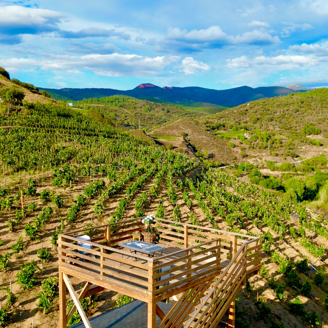 Heroic Viticulture Experience